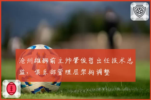 沧州雄狮前主帅肇俊哲出任技术总监，俱乐部管理层架构调整